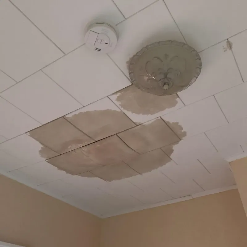 Ceiling Water Damage Repair in Middlebury, IN