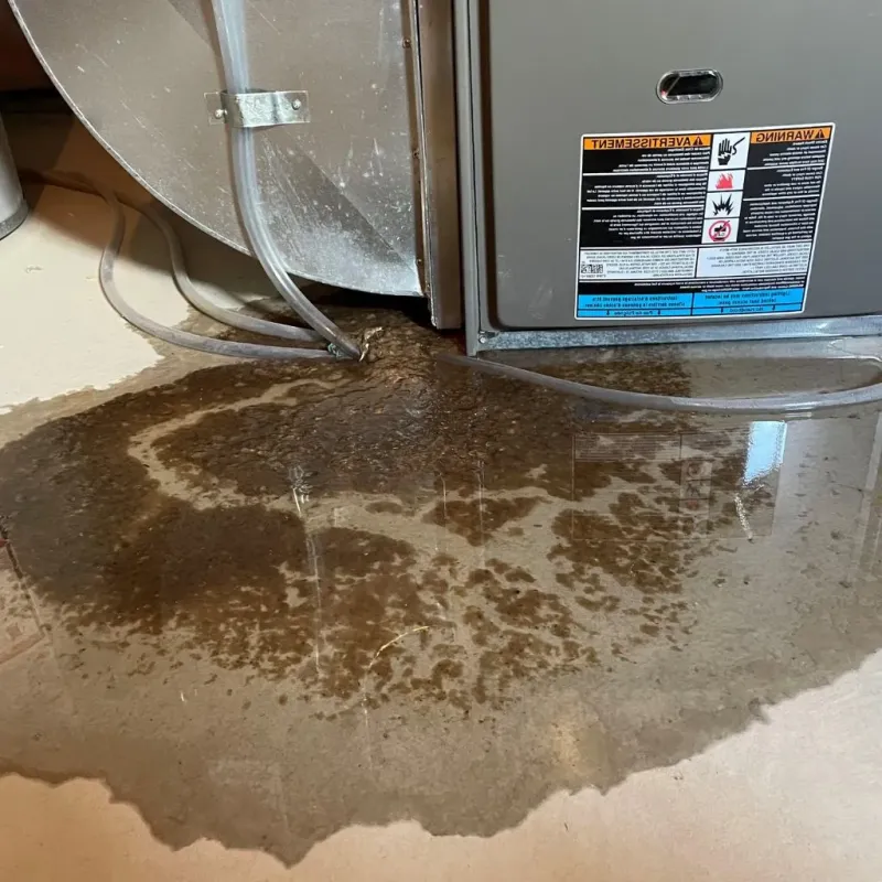 Pipe Burst and Leak Restoration in Middlebury, IN